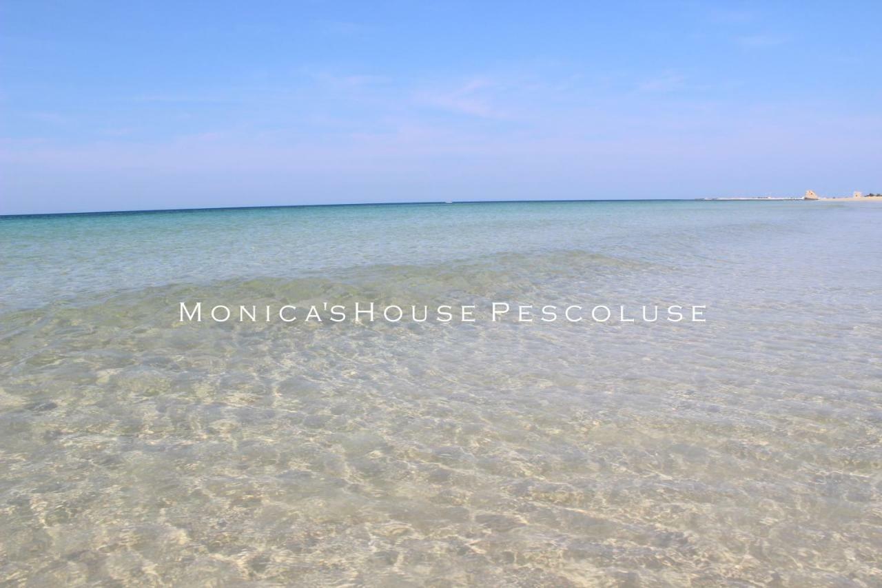 Home Holiday Salento Monica'S House Pescoluse 마리나 디 페스콜루스 외부 사진