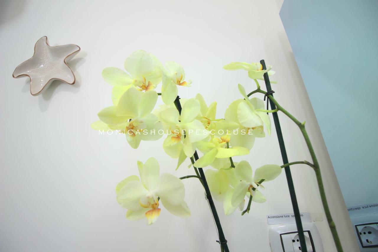 Home Holiday Salento Monica'S House Pescoluse 마리나 디 페스콜루스 외부 사진