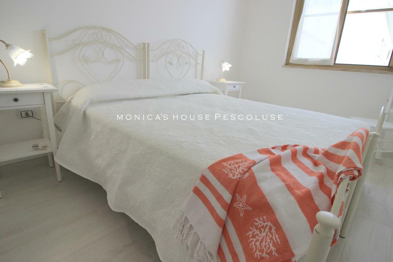 Home Holiday Salento Monica'S House Pescoluse 마리나 디 페스콜루스 외부 사진